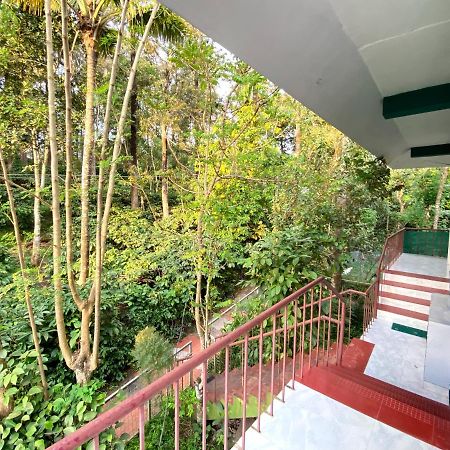 Ammus Homestay Теккаді Екстер'єр фото